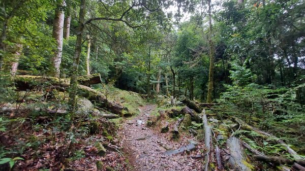 小雪山 船形 鞍馬 天池 啞口O型 1142092