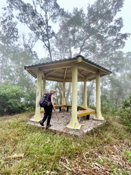 埔里撿基石-西關刀山西峰(貓頭山).牛眠山.三角嶺山(東南峰)  2024.12.142669866
