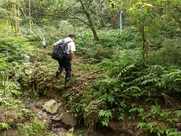 平溪區過火坪古道+枋山坑山+中坑頭鞍部+枋山坑古道+火燒寮古道O型2878603