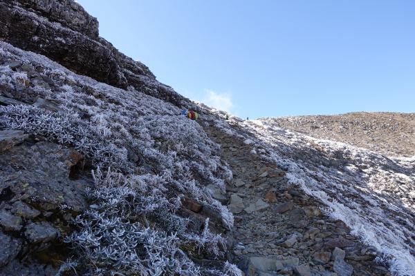 1051216~19雪山主東北下翠池80588