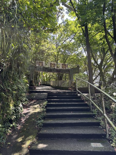 紅淡山3043536