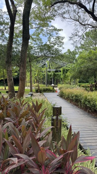 霄裡好風光運動樂悠遊2829076