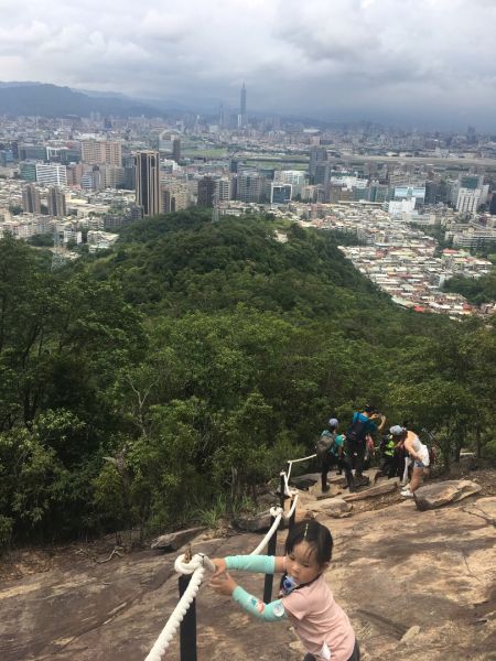 金面山394178