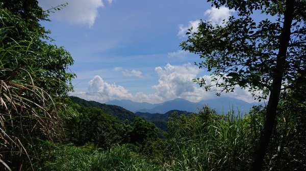 小百岳-李棟山1048801