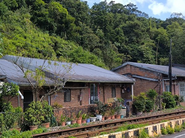 20251010微笑山線：【五分山系】菁桐煤礦段2910203