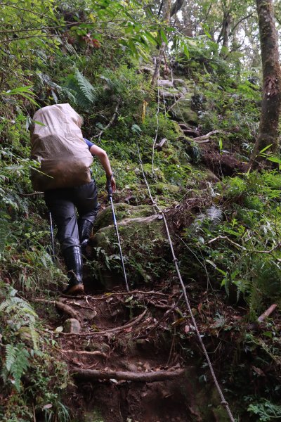 豐山眠月：石夢谷連走水漾千人洞2757768