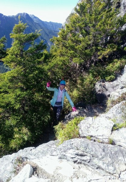 世紀奇峰大霸尖山、小霸尖山、伊澤山、加利689873