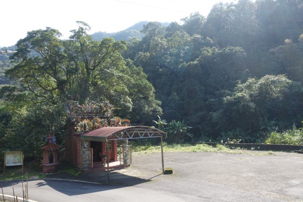 大舌湖步道 虎寮潭3086033
