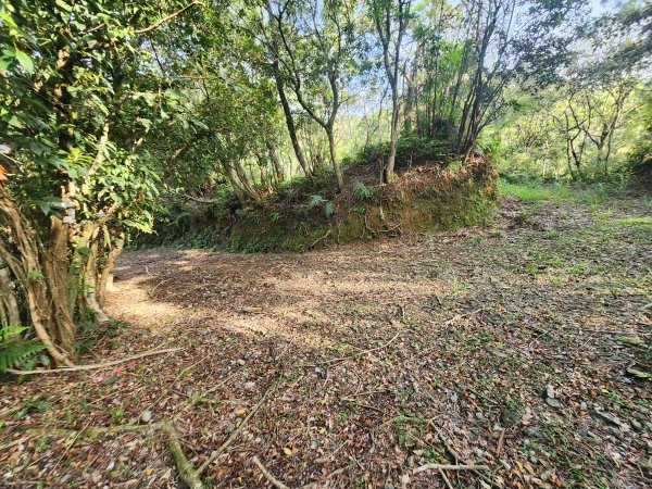 20250404雙十縱走失敗撤退改走蝙蝠山2892557