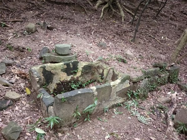 貢寮區蚊子坑古道+和美池+和美山+北勢坑古道2990883