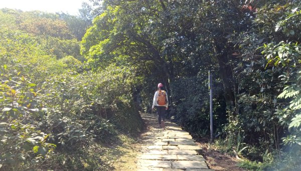 (姨婆趴趴走)第四十八集:新北草嶺古道（福隆車站-大里車站）2747663