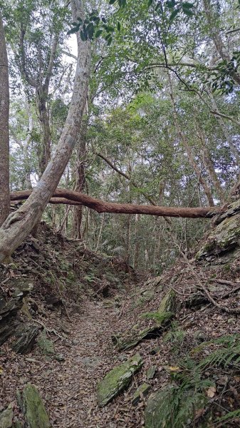 網子山、鳴海山3046450
