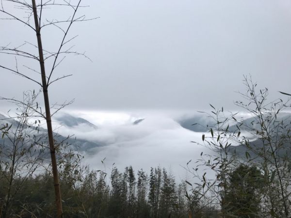 丸田砲台遺址步道276325