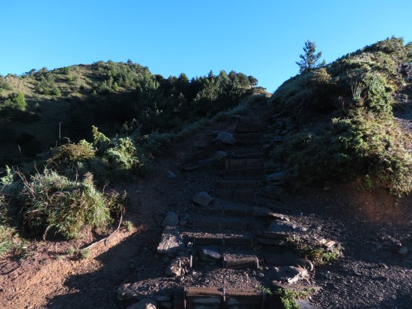 113.7.30合歡山西峰+北峰(一日單攻)凱米颱風後2562262