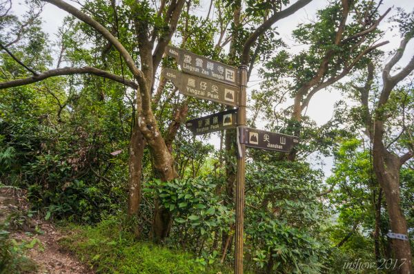 觀音山(凌雲禪寺、北橫古道、硬漢嶺)211381