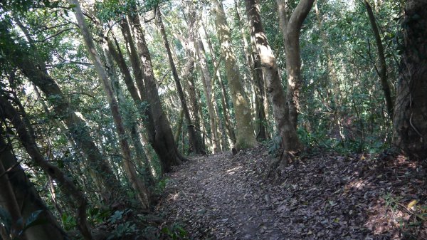 出關古道登山健行趣(步道)1579324