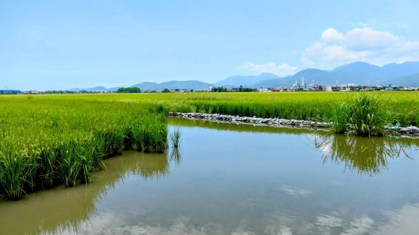 三奇美徑,52甲溼地2813344