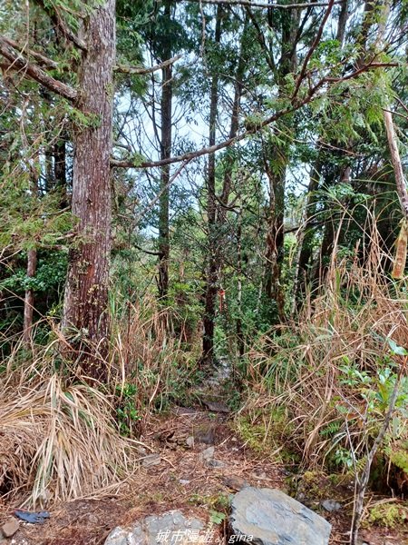 【宜蘭。大同】  三個女生的森林漫遊。  小百岳集起來。 編號85小百岳~三星山登山步道1664999