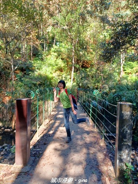 【南投魚池】天晴健行趣。 台版侏儸紀公園_澀水森林步道2407803