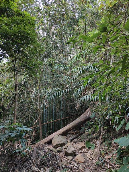 2023.11.30 九份二山2677680