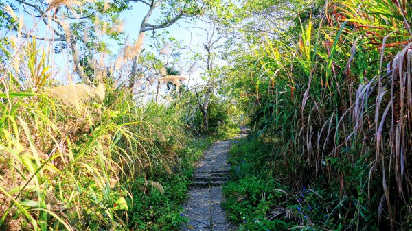 南化刣牛湖山2987503
