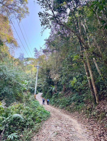 能高瀑布 福興山尋血藤3022543