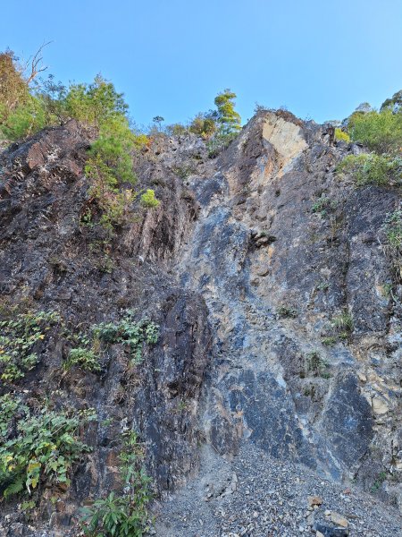 大雪山森林遊樂區之烏石坑山+山椒山(210林道)202401102400547