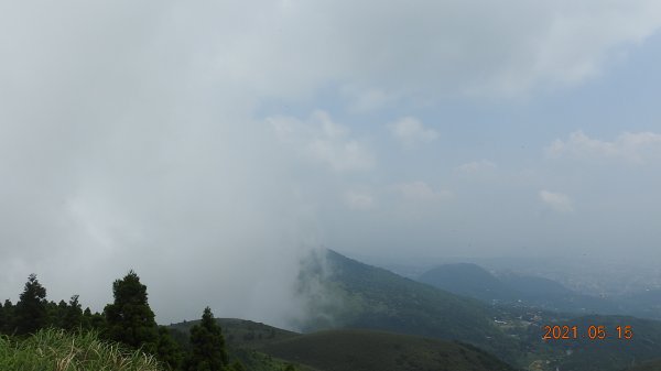 再見觀音圈 - 山頂變幻莫測，雲層帶雲霧飄渺之霧裡看花 & 賞蝶趣1387496