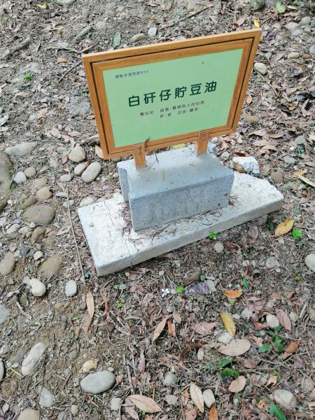 【彰化。員林】健身休閒人氣步道。藤山步道955366