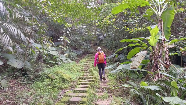 (姨婆趴趴走)第四十七集:新北土城大暖坑山等諸峰攀登連走2738746