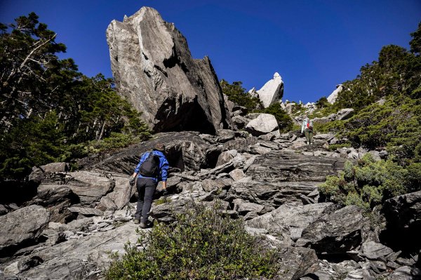 帝王之座-南湖主峰線｜南湖大山＋南湖南峰＋巴巴山2884955