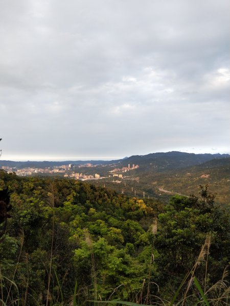 南港山縱走親山步道(拇指山、南港山、象山、九五峰)1679337