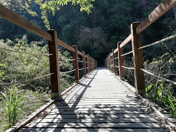 再戰霞喀羅國家步道，養老登山口↹白石吊橋538012