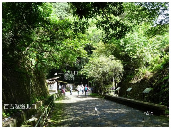 頭寮山/總督府步道 (桃園、大溪)2117598