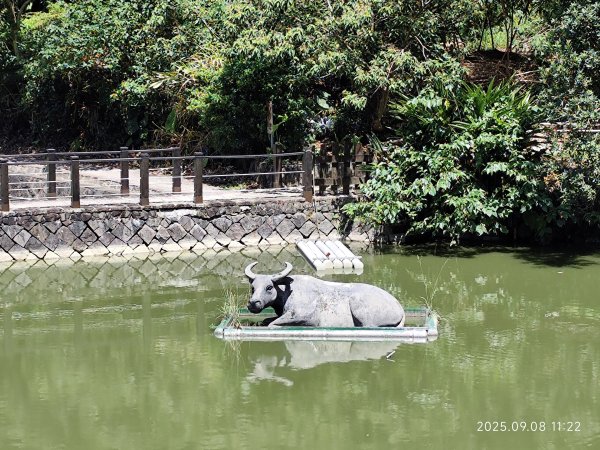 【臺北大縱走 7】2-1 樟山寺→樟樹步道→彩雲亭→相思炭窯→貓纜貓空站→指南路三段40巷2881803