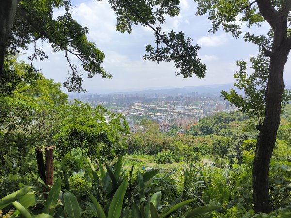 20250809樹迴縱走2855051