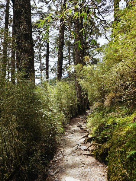 小奇萊步道-(南投)臺灣百大必訪步道2795642