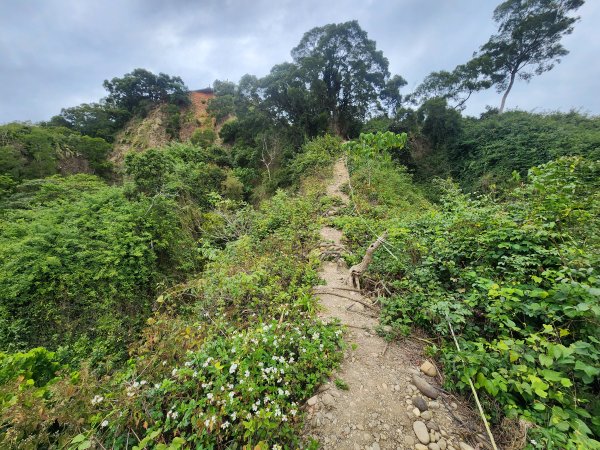 20250223田中大小劍與橫山2939835