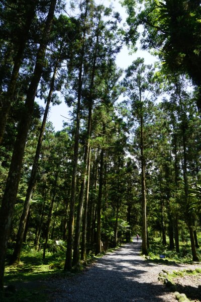 生態豐富的福山植物園1332768