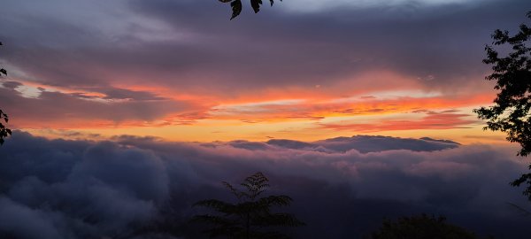 109.08.08東埔山日出雲海1064714