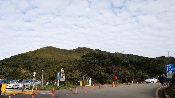 20260125 陽明山前後山健行(無極天元宮~山仔頂步道.向天池.向天山.面天山.二子坪)2998057