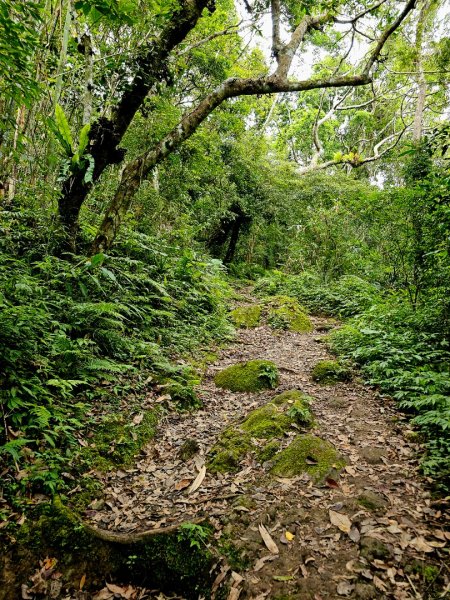 都蘭山-小百岳#93-台東縣東河鄉2779397