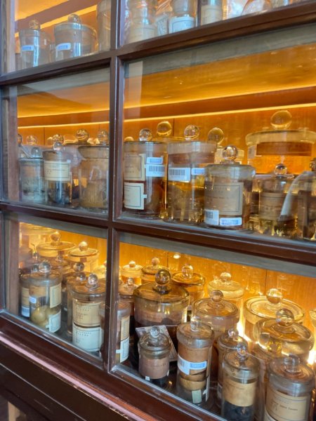 雨天備案💙 台灣博物館的古生代館-台大動植物館免費參觀-北投♨️季2807490