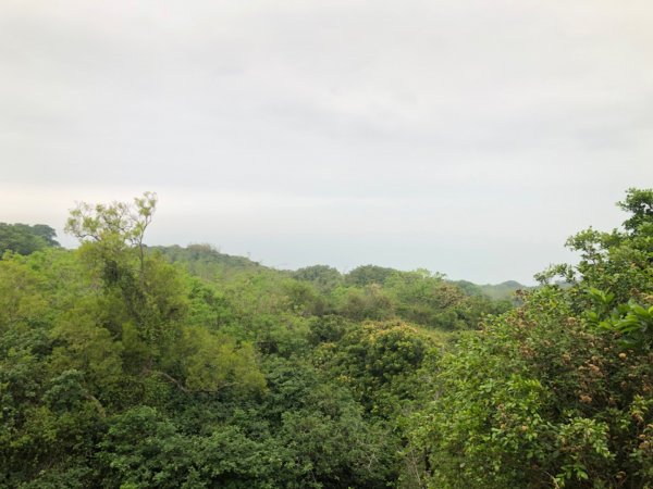 2020.04.02北柴山900710