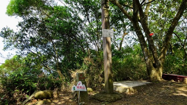 今天，我想來點飛鳳山，叮咚。1142055
