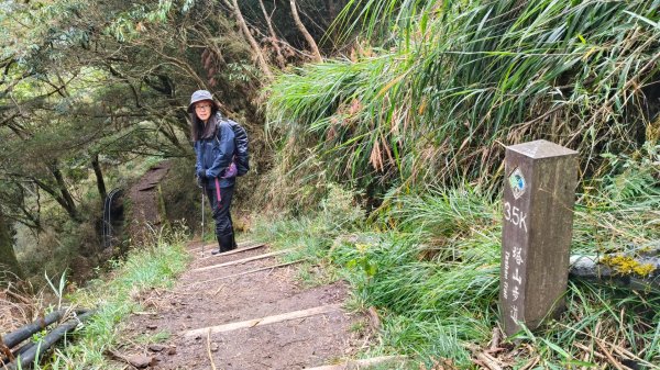 神阿縱走~台灣難抵極~大塔山2971500