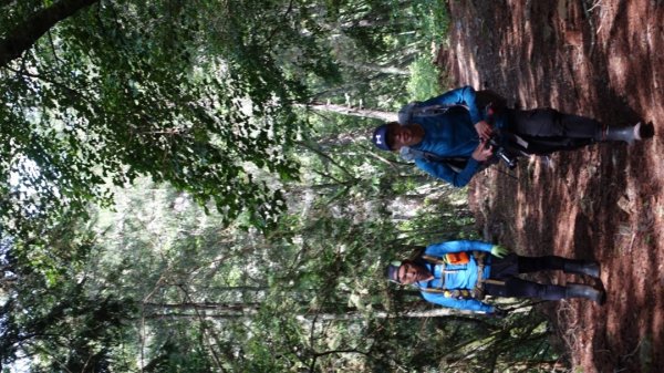 雙龍林道上巒安堂西巒大山1778652