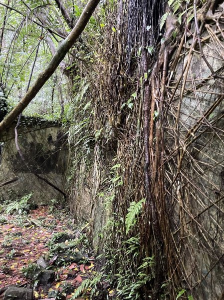 武山坑炭窯2990732