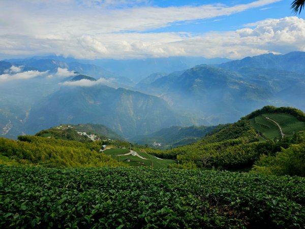雲嘉大尖山、二尖山步道--(雲林)臺灣百大必訪步道2955770