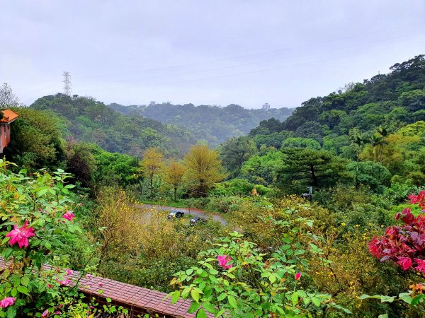 樹林山，大同山，青龍嶺，三角埔頂山，武器公園，土城明德山，四十張山，中和饅頭山，士林雙溪公園1652633